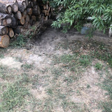 IMG 1950