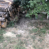 IMG 1951