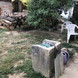IMG 1948