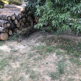IMG 1949