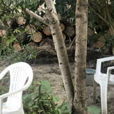 IMG 1945