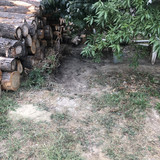 IMG 1952