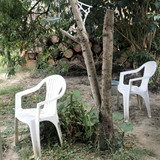 IMG 1943