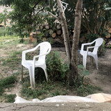 IMG 1942