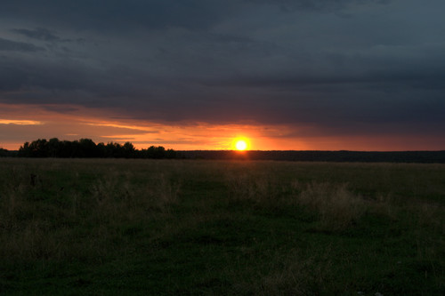 DSC 0014.jpg