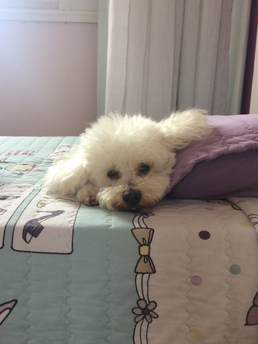 Foto 09 05 2019 13 43 42.jpg