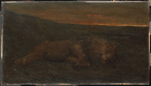 Swan, John Macallan Спящий лев ночью, 1910, 22,8 cm x 40,6 cm, Холст, масло
