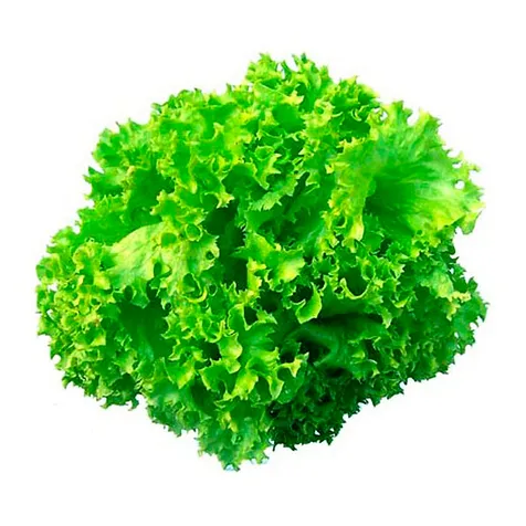 dd6ae4 b718558a93944ecda1358c4cf0e339f6~mv2.webp