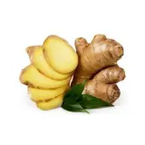 zingiber officinale herbs and herbal extracts 500x500