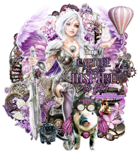 Deepi Capture Inspire tag