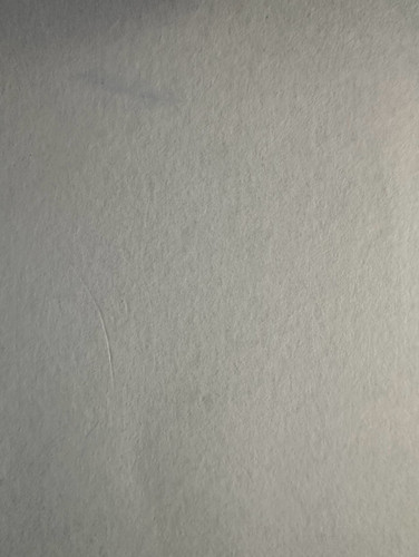 223.jpg