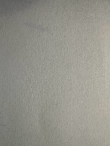 220.jpg