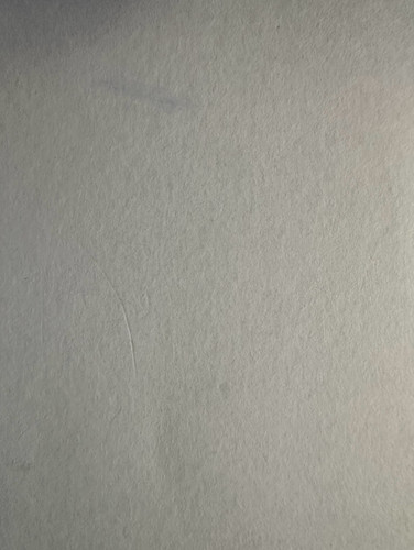 225.jpg
