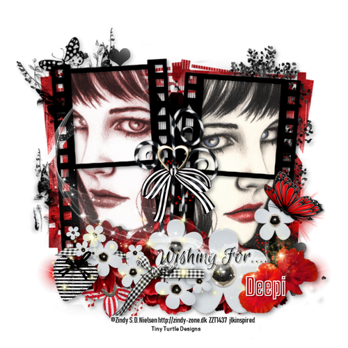 TTDRuthClusterDeepi vi