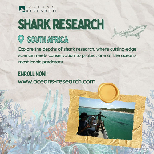 Shark Research South Africa.jpg