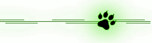IMG 0316.png