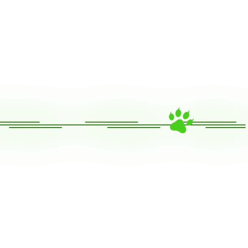 IMG 0320.png