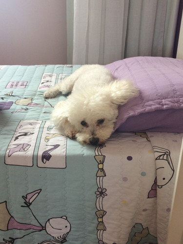 Foto 09 05 2019 13 43 35.jpg