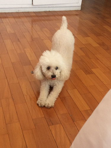 Foto 24 01 2019 14 40 38.jpg