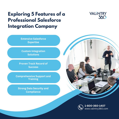 Exploring 5 Features of a Professional Salesforce Integration Company.jpg