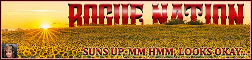 Suns Up Banner.jpg