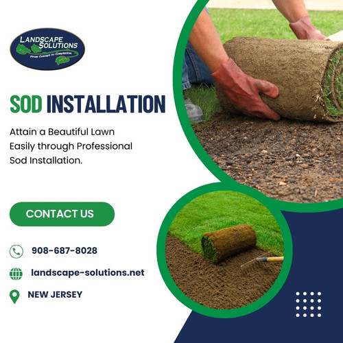 Sod Installation.jpg