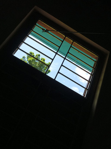 IMG 20240719 131702.jpg