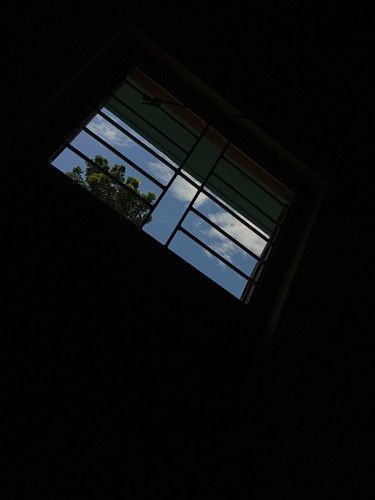 IMG 20240719 131834 0.jpg