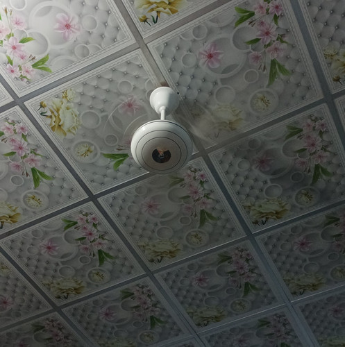 IMG 20240721 231054.jpg