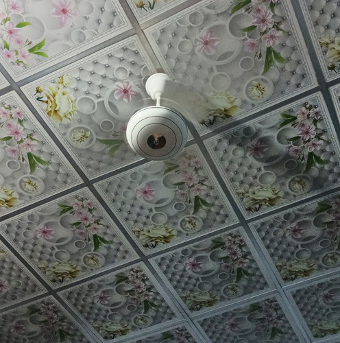 IMG 20240721 231059 DRO.jpg