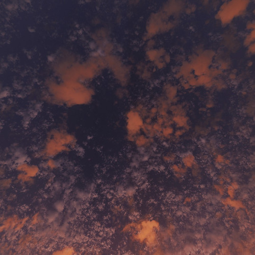Sunset up.jpg