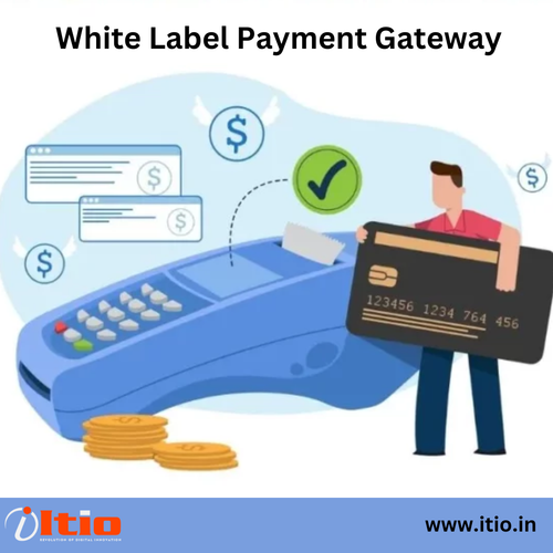 White Label Payment Gateway.png