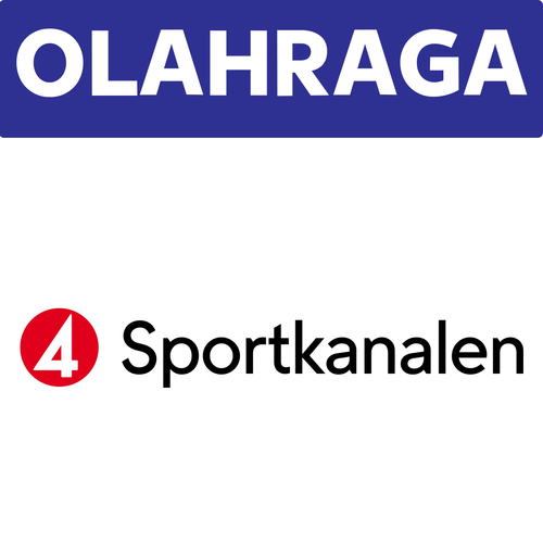 TV4 Sportkanalen.png
