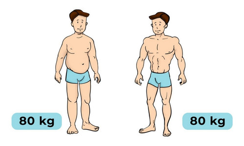 chatbeo2434.jpg