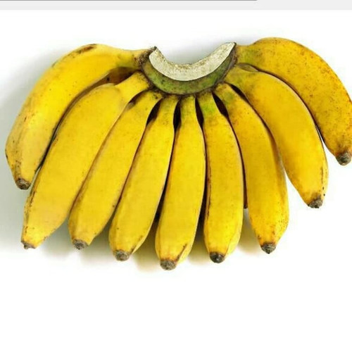 D015 pisang raja buluh