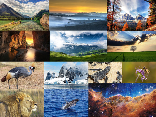 ' Glorified is The Mighty Creator '.jpg