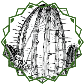 Spider cactus 2e.png