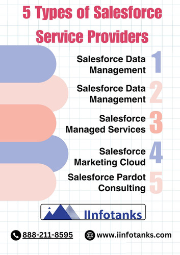 Salesforce Service Providers.jpg
