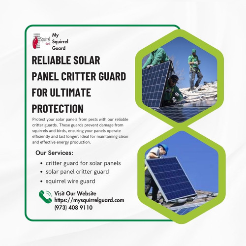 Reliable Solar Panel Critter Guard for Ultimate Protection.jpg