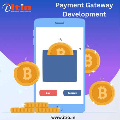 Payment Gateway Development.png