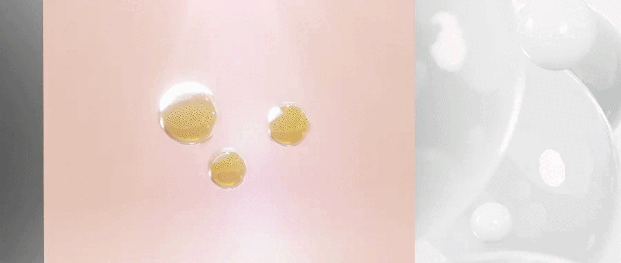 03 (1)