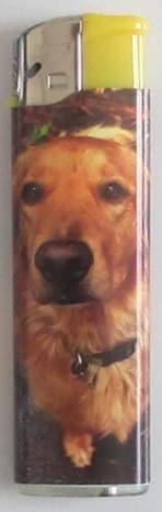 zapalovač ICQ pes Labrador.jpg