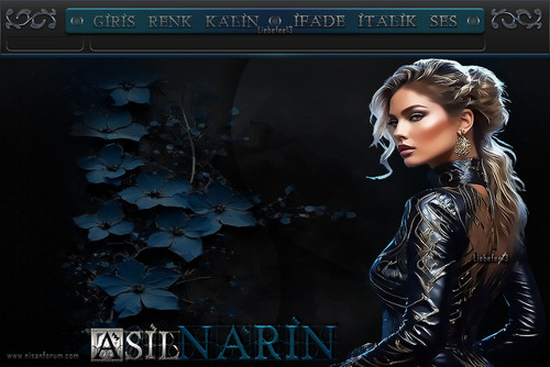 Bayan Radyo Tema 528 ASIL NARIN