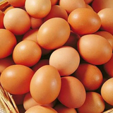 A033 telur