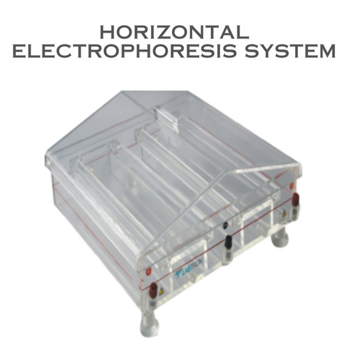 Horizontal Electrophoresis System (1).jpg