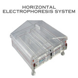 Horizontal Electrophoresis System (1)