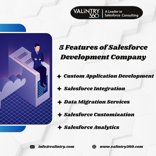 5 Features of Salesforce Development Company.jpg
