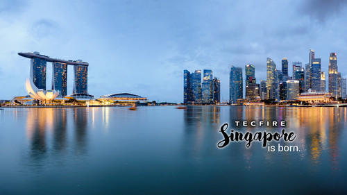 Singapore Banner.jpg