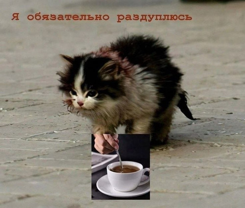 etRPWG7Wtw656DONuqxjqKthxkAmMhwscsXZ55QD2O6ge3 Klbw YJTQefLvEvwn9akzEaupyjL44RTsNAyDsYUfOKoebg9gaEY3.jpg