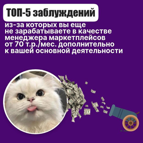 1728462238 1132516098.jpg